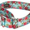 Country Brook Petz 1 1/2 Inch Vintage Roses Martingale Dog Collar -Pet Supplies Online GUEST d72c8668 22a0 4ed7 888b e0f37d544fcd