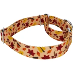 Country Brook Petz Fall Foliage Martingale Dog Collar And Leash -Pet Supplies Online GUEST d7a7909c 155c 41fa 84de 8a35e44d5602