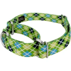 Country Brook Petz Margarita Argyle Martingale Dog Collar And Leash -Pet Supplies Online GUEST d7d1f9e7 19b2 4c73 8804 458c92d02810 1