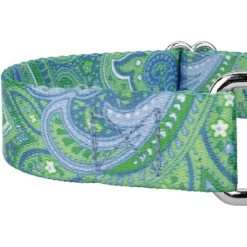 Country Brook Petz Martingale Collar And Leash - Paisley Collection -Pet Supplies Online GUEST d80be40b a6bd 4b28 8fa5 6c4f1df1ea02 1