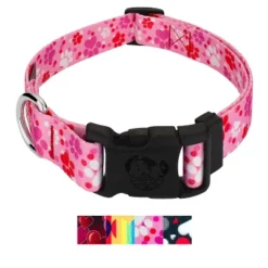 Country Brook Petz Deluxe Dog Collar - Affection Collection -Pet Supplies Online GUEST d8bfa8bb d0cc 42c9 a3d6 9b5de16a7a9f