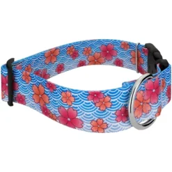 Country Brook Petz HossFit Jr Wide Deluxe Dog Collar - Spring Collection -Pet Supplies Online GUEST d90849c1 4e03 4ae0 bbd4 1946f47115f8