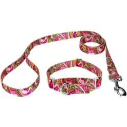 Country Brook Petz Pink Paisley Martingale Dog Collar And Leash -Pet Supplies Online GUEST d93900a5 dd85 492a 8437 806560fe3e45