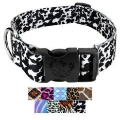Country Brook Petz HossFit Jr Wide Deluxe Dog Collar - Animal Print Collection -Pet Supplies Online GUEST d980de23 5ec0 45d1 9476 b810fe9b9459