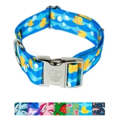 Country Brook Petz HossFit Jr Wide Premium Dog Collar - Critter Corner Collection -Pet Supplies Online GUEST d98c07aa 378c 4a9b 8012 318811c8817b