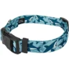 Country Brook Petz Deluxe Sharks Dog Collar And Leash