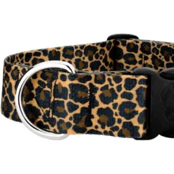 Country Brook Petz HossFit Jr Wide Deluxe Dog Collar - Animal Print Collection -Pet Supplies Online GUEST da1508b7 4a25 496e 823d daf2431ad543