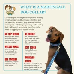 Country Brook Petz HossFit Jr Wide Martingale Dog Collar - Critter Corner Collection 13 Country Brook Petz HossFit Jr Wide Martingale Dog Collar - Critter Corner Collection -Pet Supplies Online GUEST da222f70 ad7d 46dd 8f4e 736c80f93df1