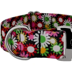 Country Brook Petz HossFit Jr Wide Premium Dog Collar - Floral Collection -Pet Supplies Online GUEST da3971c2 0ec8 494a b569 dade693f18a3