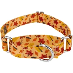 Country Brook Petz Fall Foliage Martingale Dog Collar -Pet Supplies Online GUEST da7f1a55 285d 45d9 b901 f2f70ca650fa