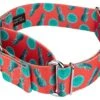 Country Brook Petz 1 1/2 Inch Tropical Tango Martingale Dog Collar