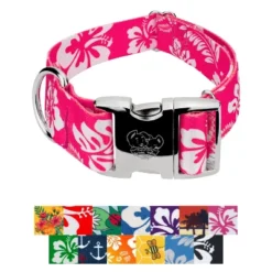 Country Brook Petz HossFit Jr Wide Premium Dog Collar - Summer Breeze Collection -Pet Supplies Online GUEST daa9435d 9471 4cd1 a0a0 0b5c6cdb4088