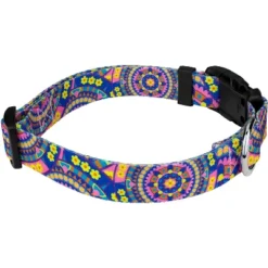 Country Brook Petz Deluxe Dog Collar - Groovy Collection -Pet Supplies Online GUEST daaf8095 5109 4ae9 a408 ad25ed12de28