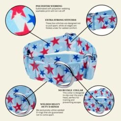Country Brook Petz HossFit Jr Wide Martingale Dog Collar - Americana Collection 12 Country Brook Petz HossFit Jr Wide Martingale Dog Collar - Americana Collection -Pet Supplies Online GUEST dacac608 9257 466e af6f 00bf82fc405e