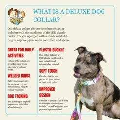 Country Brook Petz Deluxe Fashion Zebra Dog Collar - Made In The U.S.A. (1/2 Inch, Extra Small) -Pet Supplies Online GUEST dae086a1 342f 46f5 839a c797e733d727