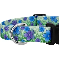 Country Brook Petz Blue April Blossoms Deluxe Dog Collar And Leash -Pet Supplies Online GUEST dafee180 5c9b 4028 ae9d 2faa7297d907