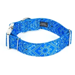 Country Brook Petz HossFit Jr Wide Premium Dog Collar - Country And Western Collection -Pet Supplies Online GUEST db626b7c 2135 422f a664 8045d9df9af4