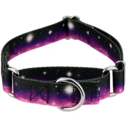 Country Brook Petz Heavenly Space Martingale Dog Collar (1/2 Inch, 2XS) 9 Country Brook Petz Heavenly Space Martingale Dog Collar (1/2 Inch, 2XS) -Pet Supplies Online GUEST db7a33de d4a2 4f30 a224 4aada37f1247