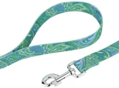 Country Brook Petz® 3/4 Inch Green Paisley Dog Leash - 6 Foot -Pet Supplies Online GUEST db835964 3c83 4fe0 be7f 91b9e9fa91bf