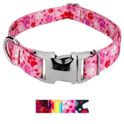Country Brook Petz Premium Dog Collar - Affection Collection -Pet Supplies Online GUEST db8757fe ded0 4960 a54a 6da0b2c31eb8