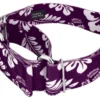 Country Brook Petz 1 1/2 Inch Purple Hawaiian Martingale Dog Collar -Pet Supplies Online GUEST dc3e9f1c 726a 48c7 b4e6 e512887588ab