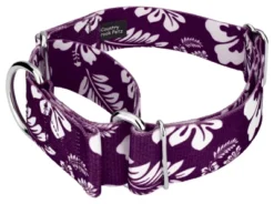 Country Brook Petz 1 1/2 Inch Purple Hawaiian Martingale Dog Collar