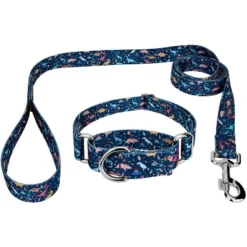 Country Brook Petz Dinosaurs Martingale Dog Collar And Leash -Pet Supplies Online GUEST dc436c35 f042 460c 8111 dfb6c41a8ad3