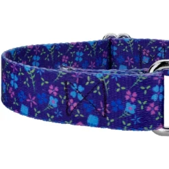 Country Brook Petz Blueberry Fields Martingale Dog Collar -Pet Supplies Online GUEST dcafb4c7 7779 412a bddc 8b8b4cec8dd2