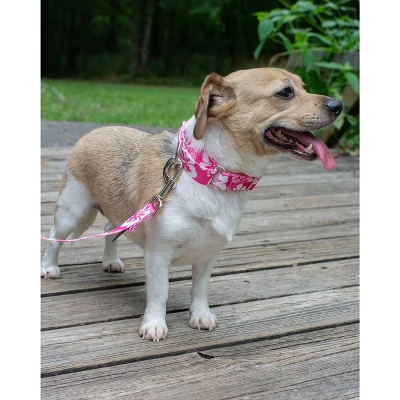 Country Brook Petz Pink Hawaiian Martingale Dog Collar And Leash 3 Country Brook Petz Pink Hawaiian Martingale Dog Collar And Leash