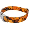 Country Brook Petz Premium Orange Sunset Camo Dog Collar 1 Country Brook Petz Premium Orange Sunset Camo Dog Collar -Pet Supplies Online GUEST dcc2eaf7 f489 4740 a987 7abe04f21de5