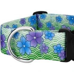 Country Brook Petz HossFit Jr Wide Deluxe Dog Collar - Spring Collection -Pet Supplies Online GUEST dcf58396 1927 42fc ae39 46551b172262