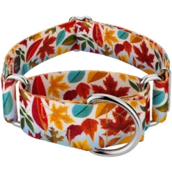 Country Brook Petz 1 1/2 Inch Brisk Autumn Martingale Dog Collar -Pet Supplies Online GUEST de06790d cc13 418c a942 1db3fc79f32a