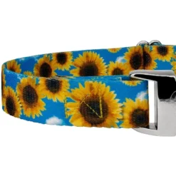 Country Brook Petz Martingale Dog Collar With Premium Buckle - Floral Collection -Pet Supplies Online GUEST de1a8d00 2473 4a20 9cb2 53e4a039bce5