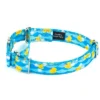 Country Brook Petz Reflective Martingale Dog Collar 1 Country Brook Petz Reflective Martingale Dog Collar -Pet Supplies Online GUEST de3a6cfb bc83 4881 8d3d fa1c6a760b69