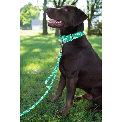 Country Brook Petz Kelly Green Hawaiian Martingale Dog Collar 3 Country Brook Petz Kelly Green Hawaiian Martingale Dog Collar