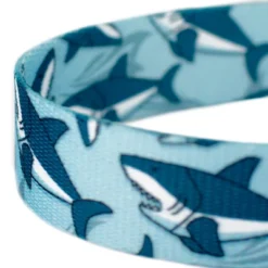 Country Brook Petz Sharks Dog Leash (4 Foot, 5/8 Inch Wide) -Pet Supplies Online GUEST deda6c35 a6a7 4006 9f55 03c1f76f69ee 1