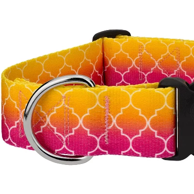 Country Brook Petz HossFit Jr Wide Deluxe Dog Collar - Abstract Collection 5 Country Brook Petz HossFit Jr Wide Deluxe Dog Collar - Abstract Collection - Image 3