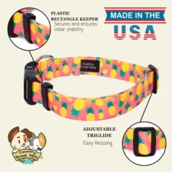 Country Brook Petz Deluxe Dog Collar - Made In The U.S.A. - Tasty Collection -Pet Supplies Online GUEST df607076 55cc 4ce1 8f01 51f10787fdba
