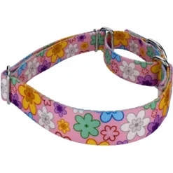 Country Brook Petz May Flowers Martingale Dog Collar -Pet Supplies Online GUEST dfe4b208 755d 4d9b 8c25 66fdcaf1f4ee