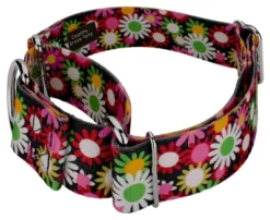 Country Brook Petz 1 1/2 Inch Daisy Fields Martingale Dog Collar -Pet Supplies Online GUEST e2994d39 d489 4261 89a6 21b0a54edfae