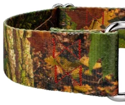 Country Brook Petz 1 1/2 Inch Southern Forest Camo Martingale Dog Collar 14 Country Brook Petz 1 1/2 Inch Southern Forest Camo Martingale Dog Collar -Pet Supplies Online GUEST e3238e48 a720 4d86 8d15 616cc1a884a0