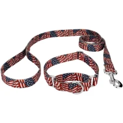 Country Brook Petz Patriotic Tribute Martingale Dog Collar And Leash -Pet Supplies Online GUEST e3490330 6295 42b9 88a5 b2705168387c