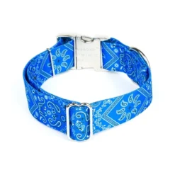 Country Brook Petz HossFit Jr Wide Premium Dog Collar - Country And Western Collection -Pet Supplies Online GUEST e3a35cd6 4b90 4780 8edc 508b7995d4c1