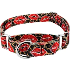 Country Brook Petz Cheetah Kisses Martingale Dog Collar -Pet Supplies Online GUEST e43abe9c 50e2 48b6 bdaa 584c274cf77b