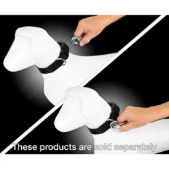 Country Brook Petz 6ft By 1 Inch Heavyduty Doublehandle Nylon Leash -Pet Supplies Online GUEST e45a57ab 9705 4f9e 9e54 855631bbb2b7