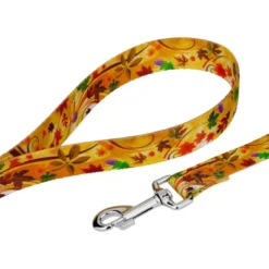 Country Brook Petz Deluxe Autumn Wind Dog Collar And Leash -Pet Supplies Online GUEST e4877765 0fd0 4283 9db5 e7825ca181bc