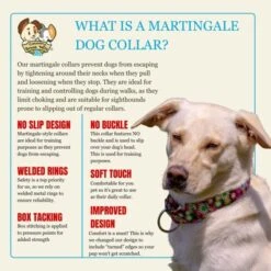 Country Brook Petz HossFit Jr Wide Martingale Dog Collar - Floral Collection -Pet Supplies Online GUEST e4956a8b 3d1a 4e44 b809 1c05d9481a63