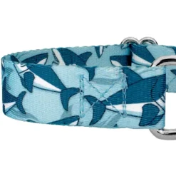 Country Brook Petz Sharks Martingale Dog Collar And Leash -Pet Supplies Online GUEST e4ec5547 e643 4efb bff3 f1f561df416f