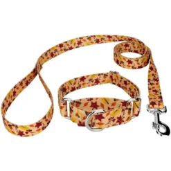 Country Brook Petz Fall Foliage Martingale Dog Collar And Leash -Pet Supplies Online GUEST e686d3ce cb54 4c65 8b0f f5487d47cc51