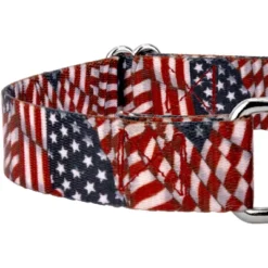 Country Brook Petz Patriotic Tribute Martingale Dog Collar And Leash -Pet Supplies Online GUEST e6a92c35 32bb 4540 a36d 242d1362ede2